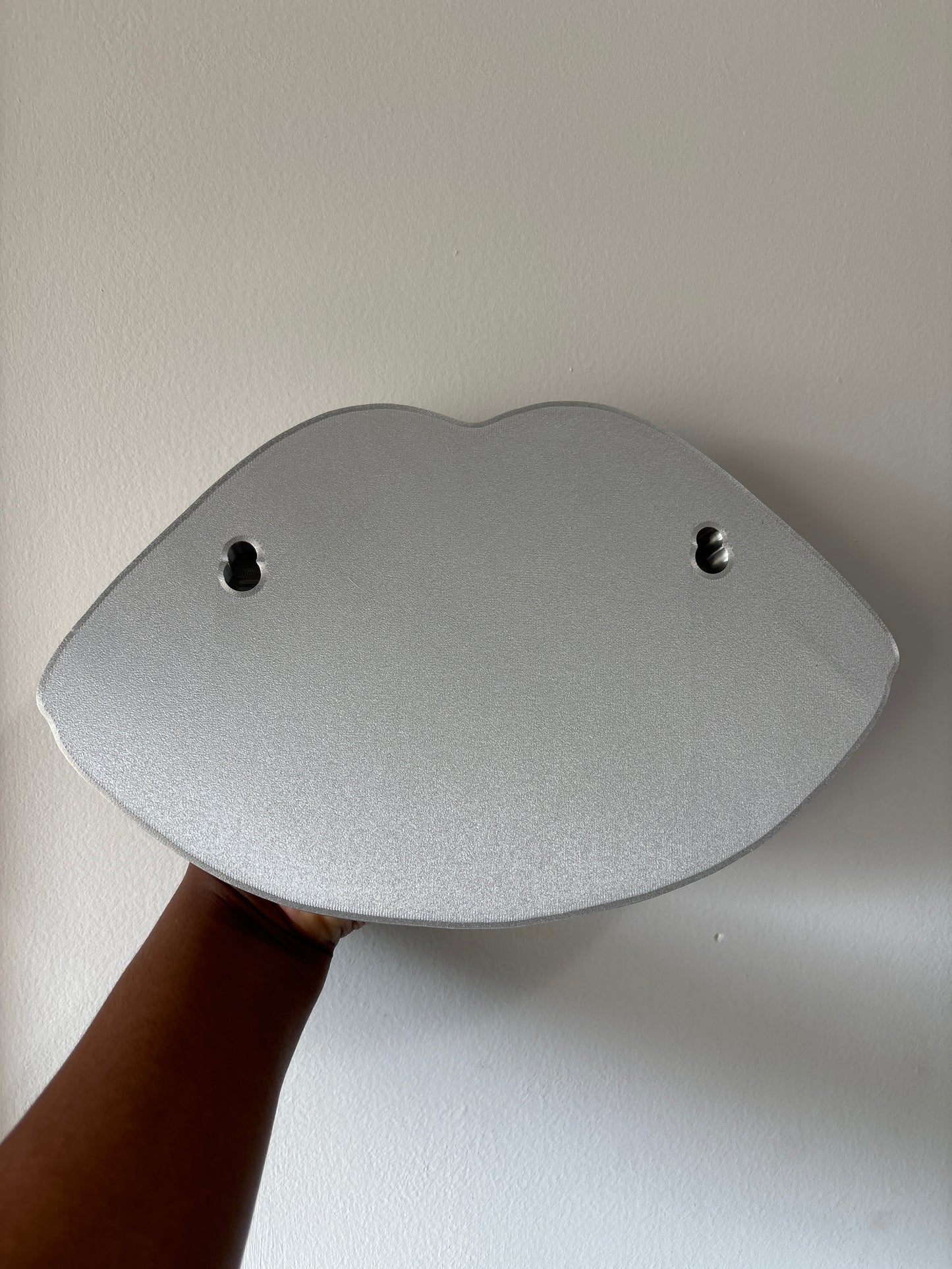 Silver lip wall decor