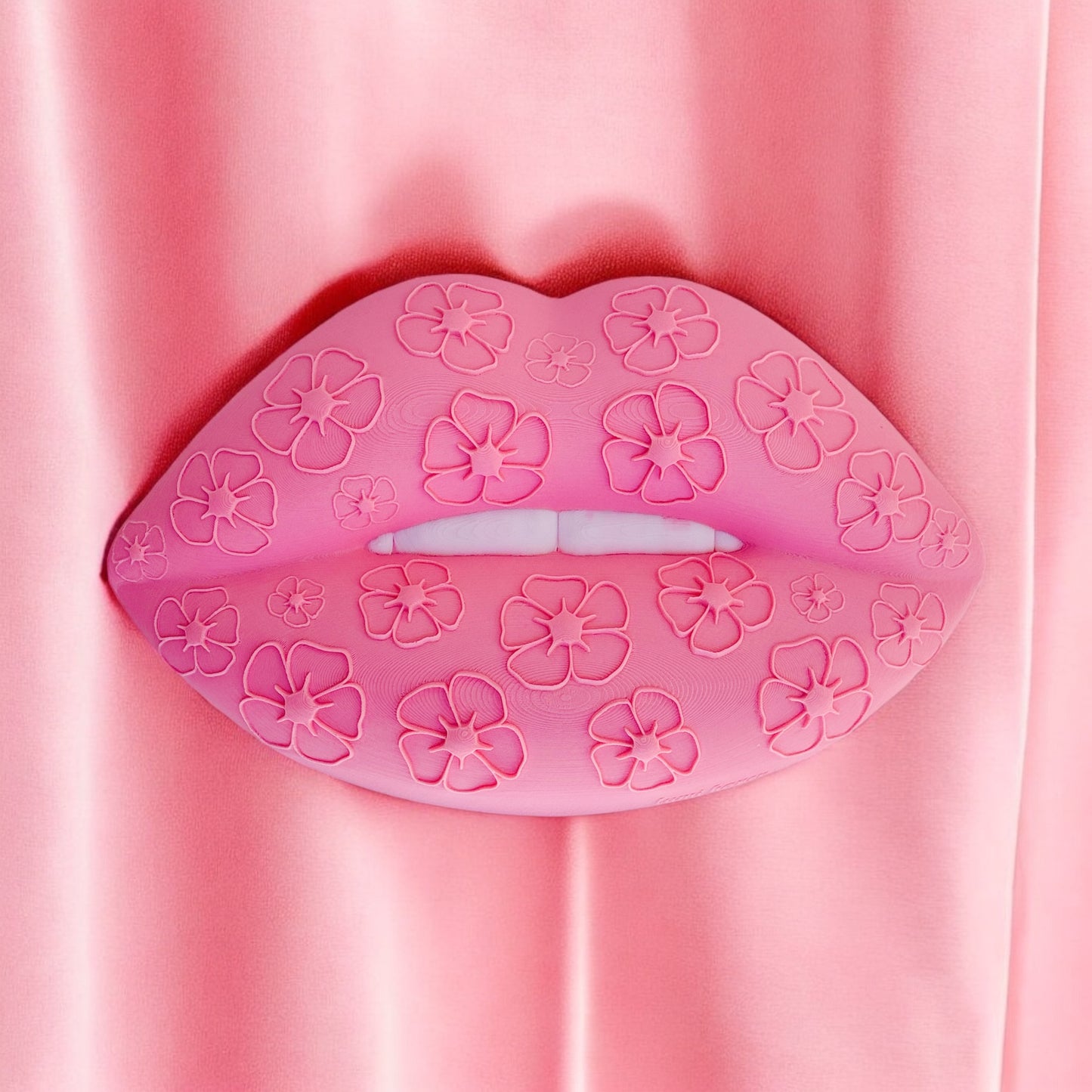 Pink lip wall decor