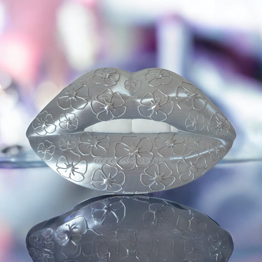 Silver lip wall decor