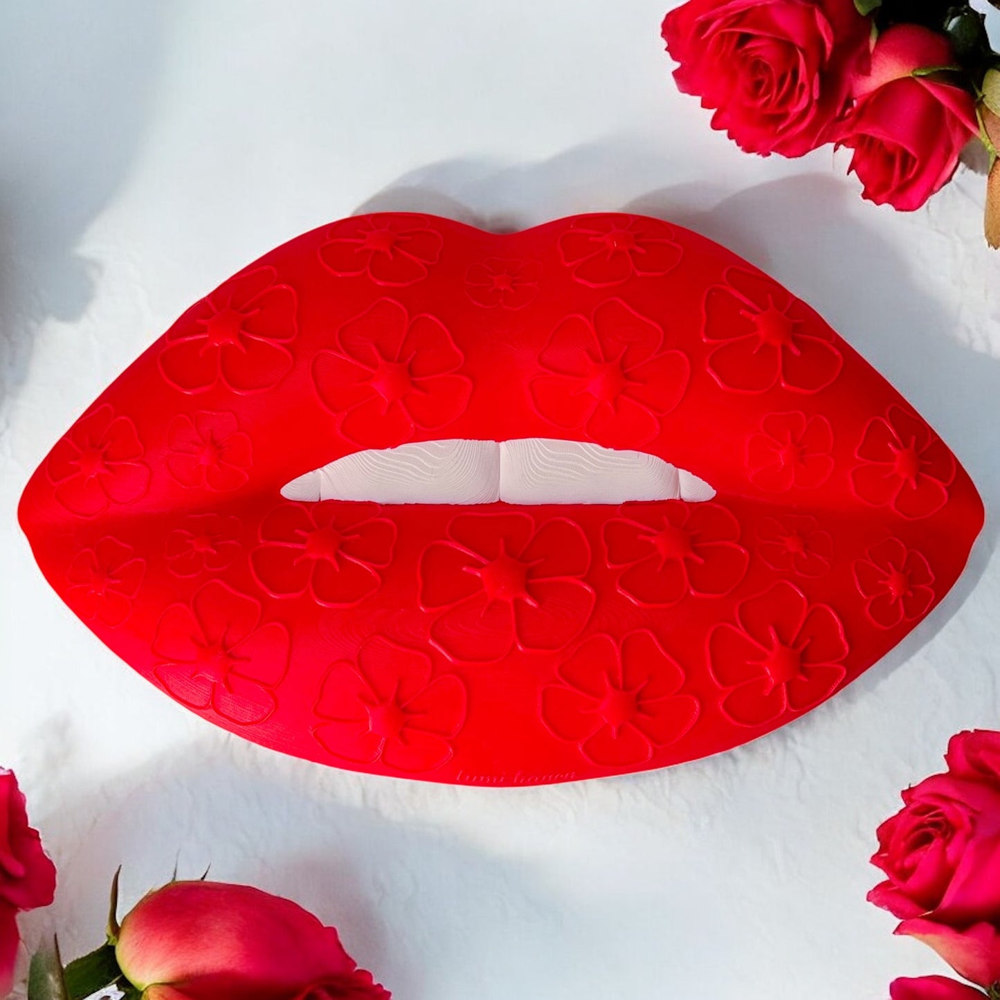 Red lip wall decor