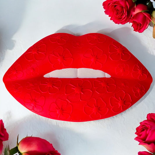 Red lip wall decor