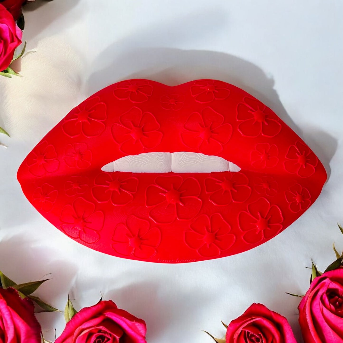 Red lip wall decor