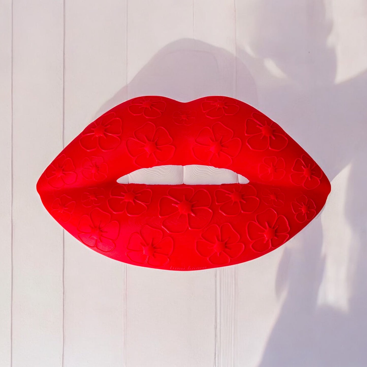 Red lip wall decor